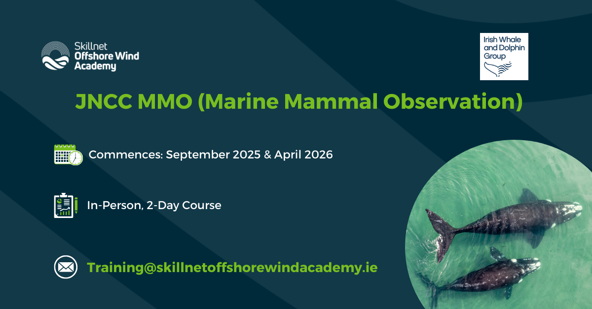 JNCC MMO (Marine Mammal Observation)