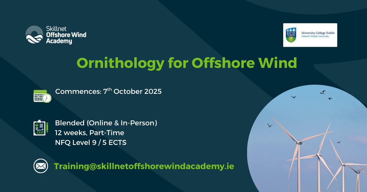 Ornithology for Offshore Wind