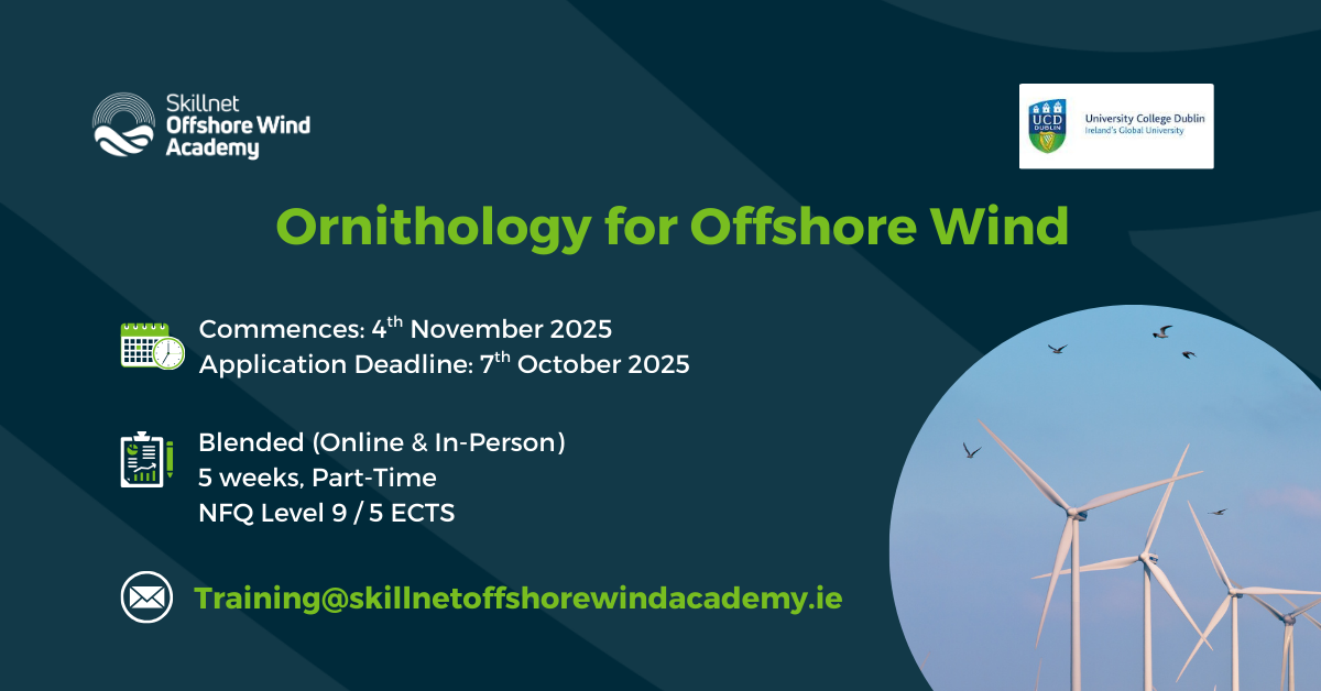 Ornithology for Offshore Wind